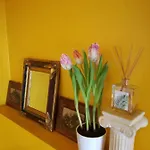 Matrix Garden Apartment *