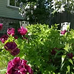 Matrix Garden * Reval