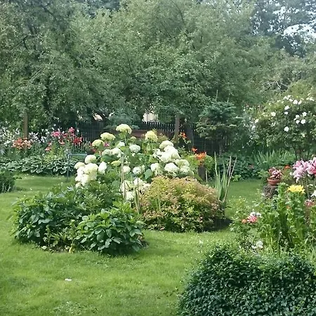 Matrix Garden *