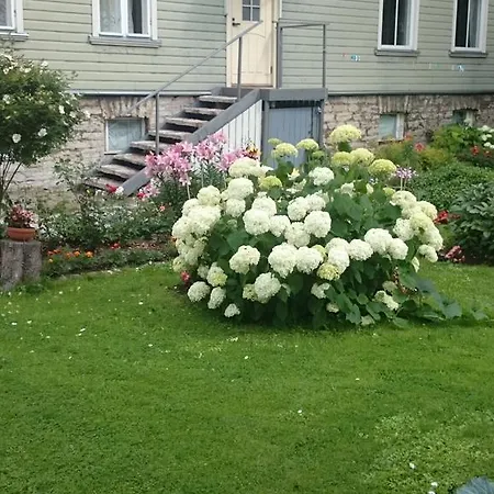 Matrix Garden Apartment *