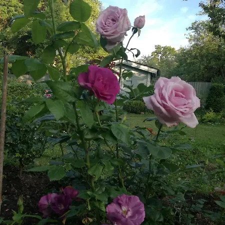 Apartament Matrix Garden