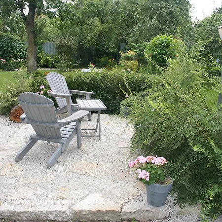 Matrix Garden * 塔林