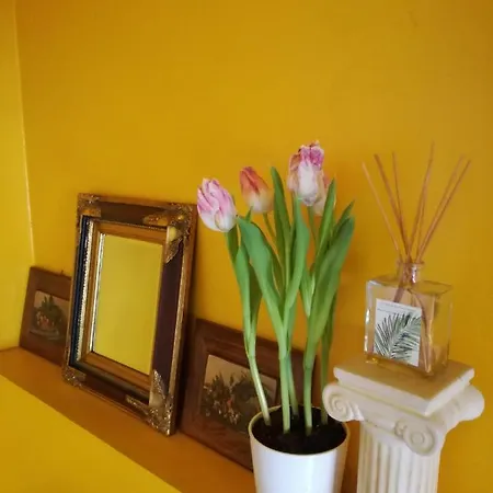 Matrix Garden Apartman *