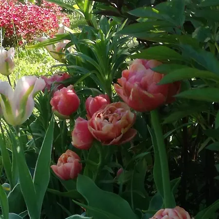 Appartement Matrix Garden