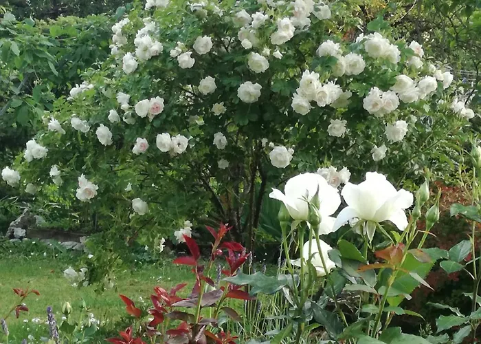 Appartement Matrix Garden Tallinn