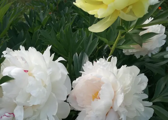 Appartement Matrix Garden *