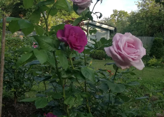 Apartament Matrix Garden