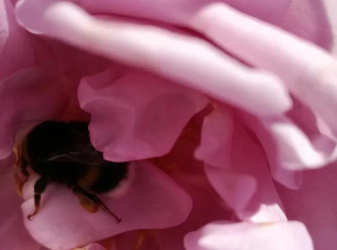 Matrix Garden Appartement *