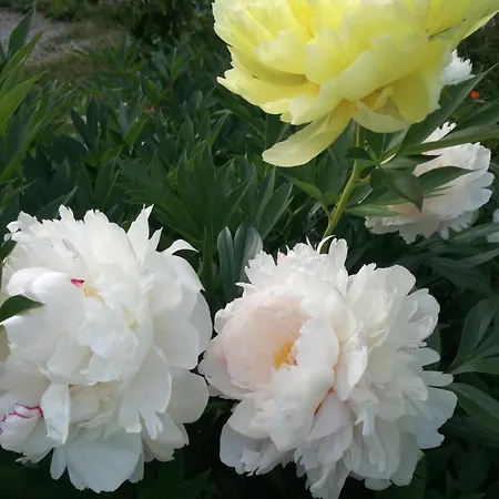 Apartamento Matrix Garden *