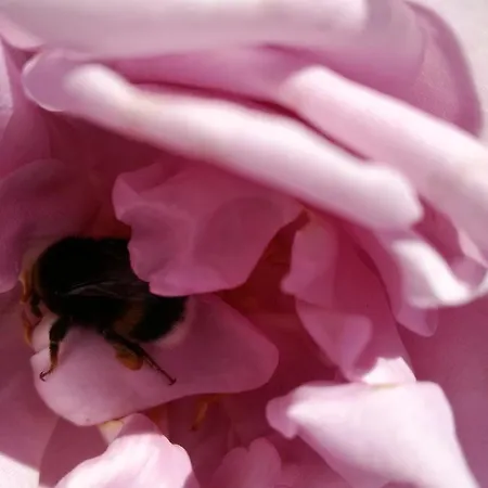 Matrix Garden Apartamento *