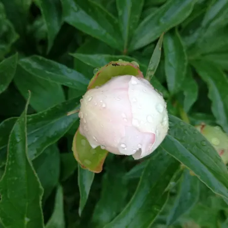 Apartamento Matrix Garden *