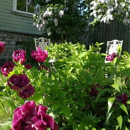 Matrix Garden * Talin