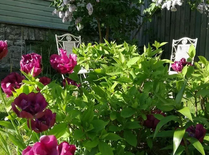 Matrix Garden Apartments * Tallinn